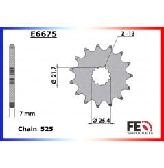 Pignon de Sortie de Boîte FE pour Kawasaki ZX10-R (04-20)