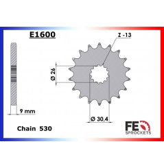 Pignon de Sortie de Boîte FE pour Triumph 1050 Speed Triple (05-21)