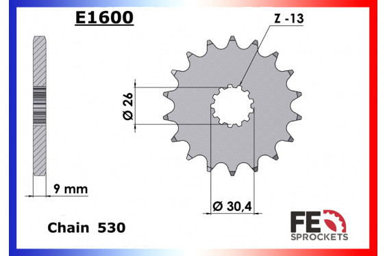 Pignon de Sortie de Boîte FE pour Triumph 1050 Speed Triple (05-21)