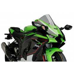 Aileron Latéral Downforce Race Puig pour Kawasaki ZX-10RR (21-23)