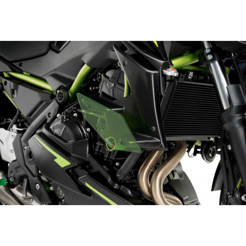 Aileron Latéral Downforce Roadster Puig pour Kawasaki Z 650 (20-23)