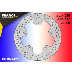 Disque de frein arrière FE pour 900 Nuda (11-13) 900 Nuda R (11-13)