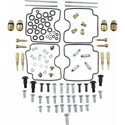 Kit Réparation Carburateur Complet All-Balls pour FZS 1000 Fazer (01-04) 26-1636