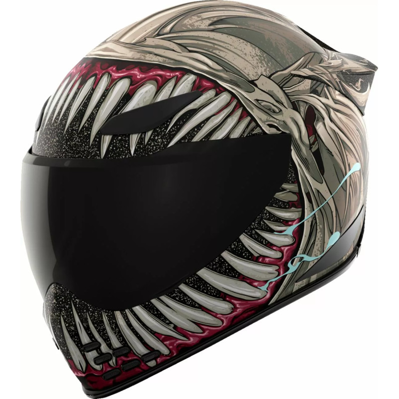 Casque Moto ICON Domain Grand Maw