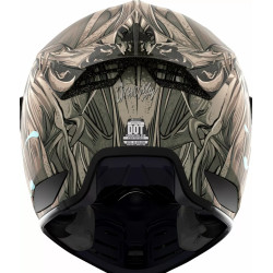 Casque Moto ICON Domain Grand Maw