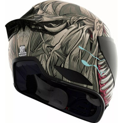 Casque Moto ICON Domain Grand Maw