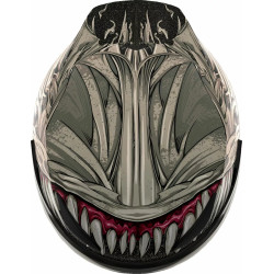 Casque Moto ICON Domain Grand Maw