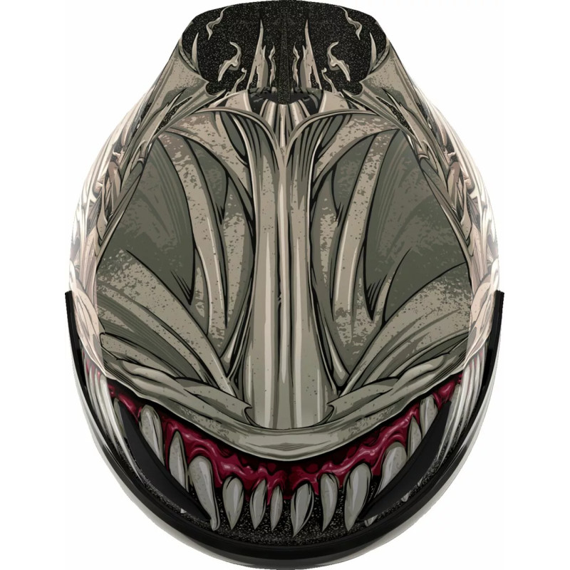 Casque Moto ICON Domain Grand Maw