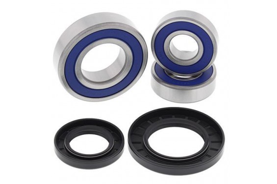 Kit Roulement de roue Arrière moto All Balls V-Strom 650 (04-12) V-Strom 1000 (02-12) - 25-1393